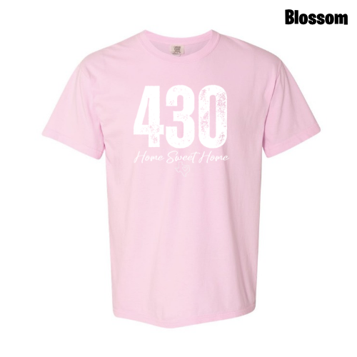 430 DTF Apparel Short Sleeve